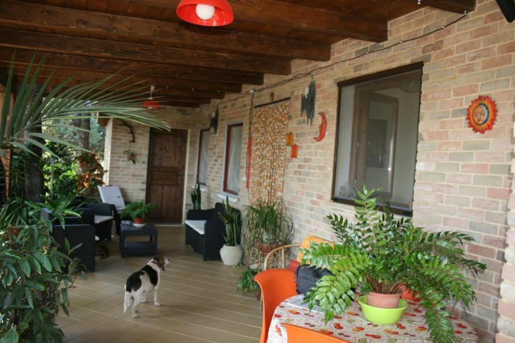 Casa Campagna Castiadas Exterior photo
